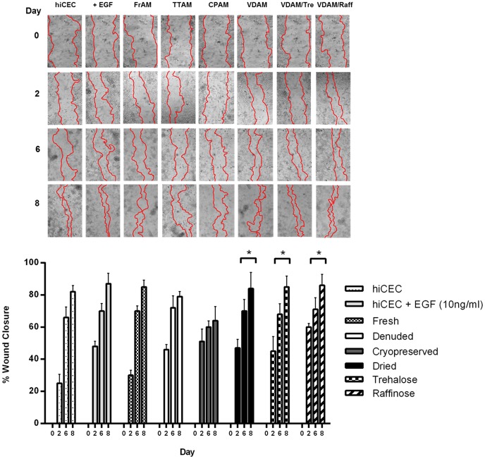 Figure 7