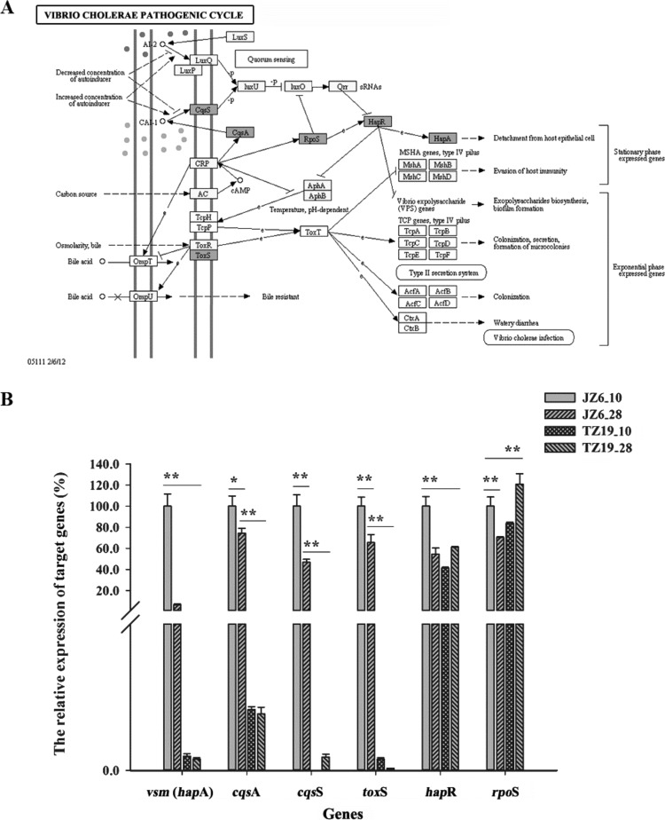 FIG 4