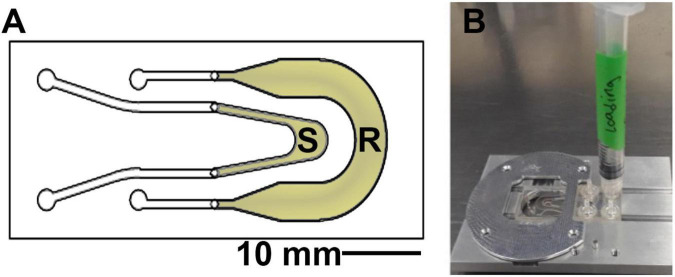 FIGURE 2