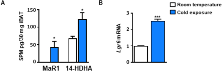 Figure 6