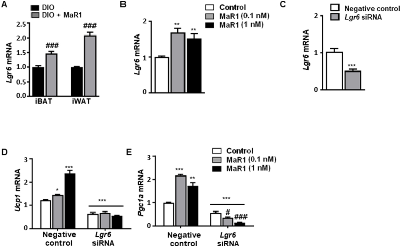 Figure 5