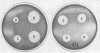 455