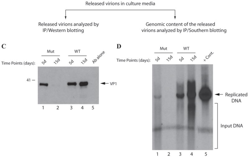 Fig. 9