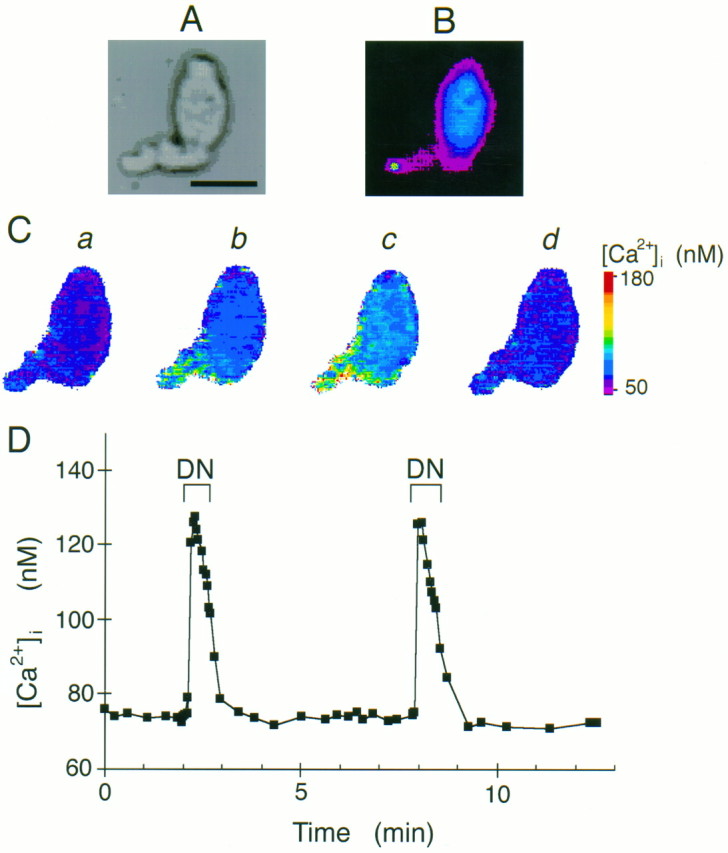 Fig. 1.