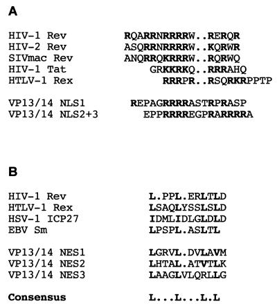 FIG. 7