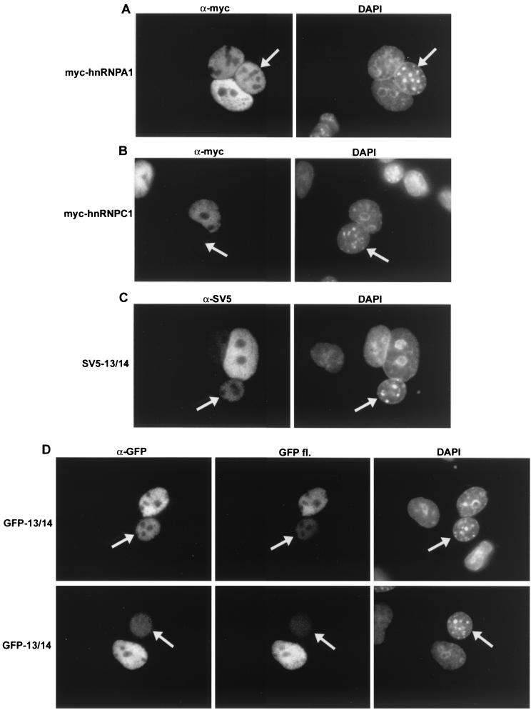 FIG. 6