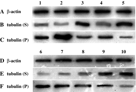 Fig. 8