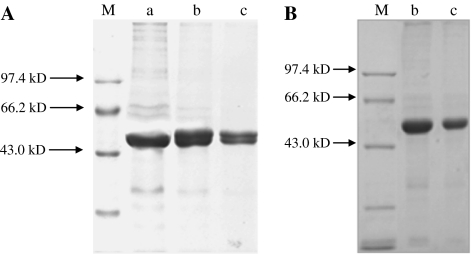 Fig. 4