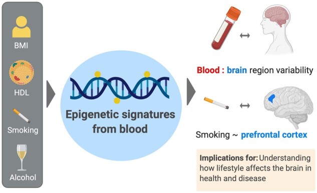 Graphical Abstract