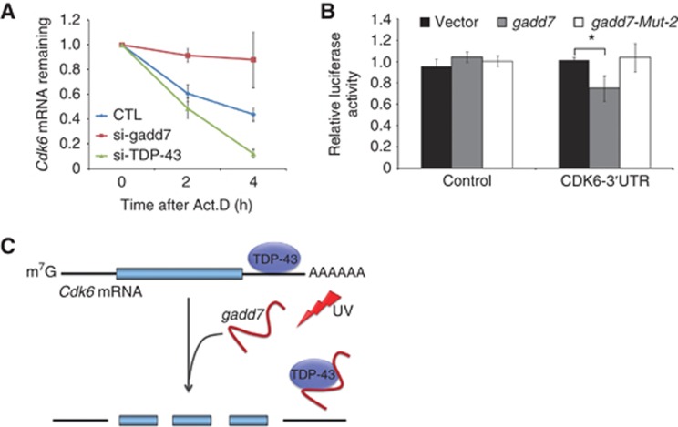 Figure 7