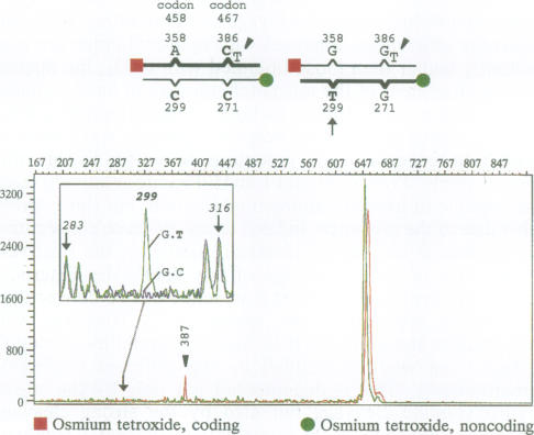 graphic file with name pnas01127-0286-a.jpg