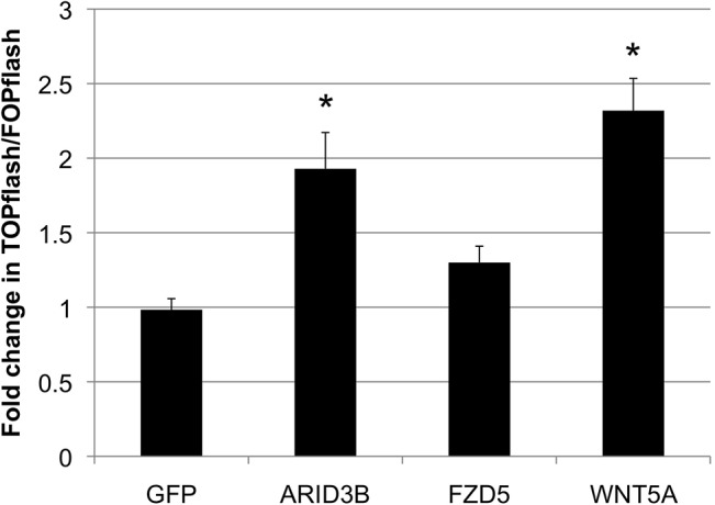 Fig 6