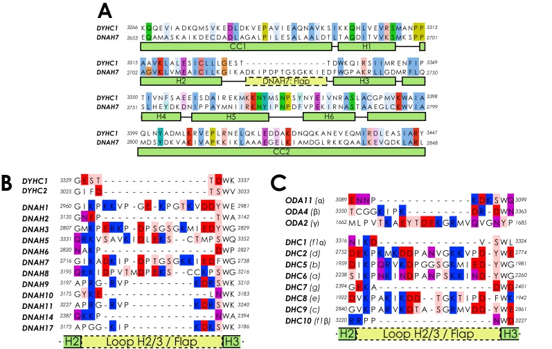 Figure 3—figure supplement 1.