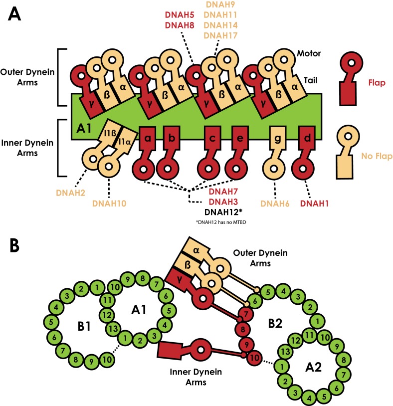 Figure 6.