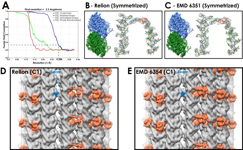 Figure 1—figure supplement 3.