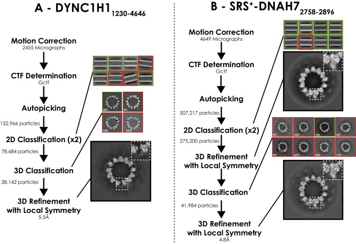 Figure 2—figure supplement 1.