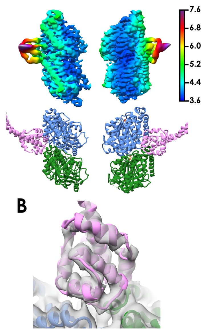 Figure 1—figure supplement 2.