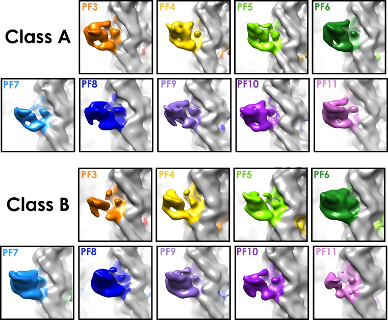 Figure 4—figure supplement 1.