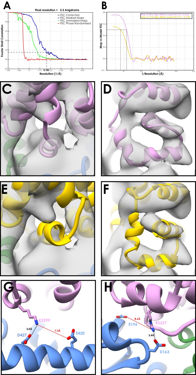 Figure 2—figure supplement 2.