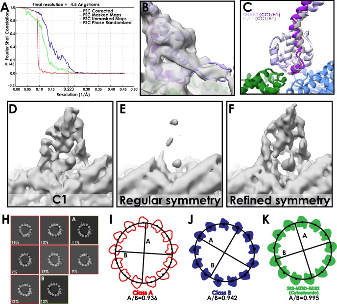 Figure 3—figure supplement 2.