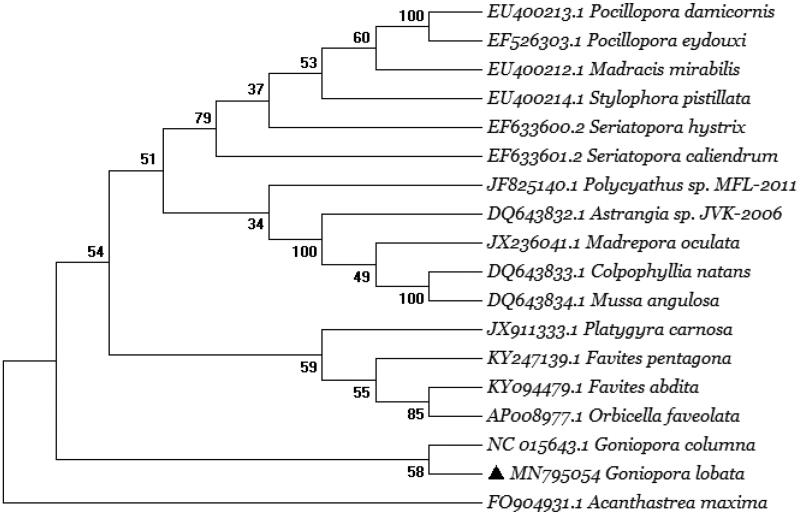 Figure 1.