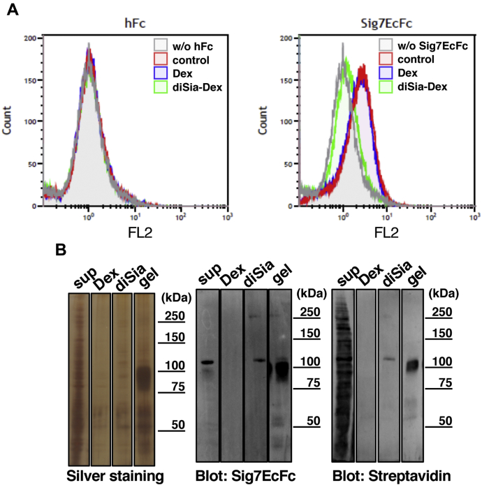 Figure 2