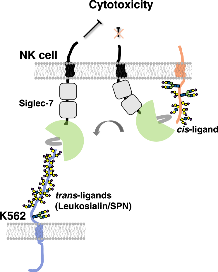 Figure 10