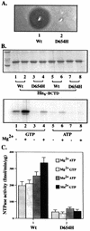 FIG. 3