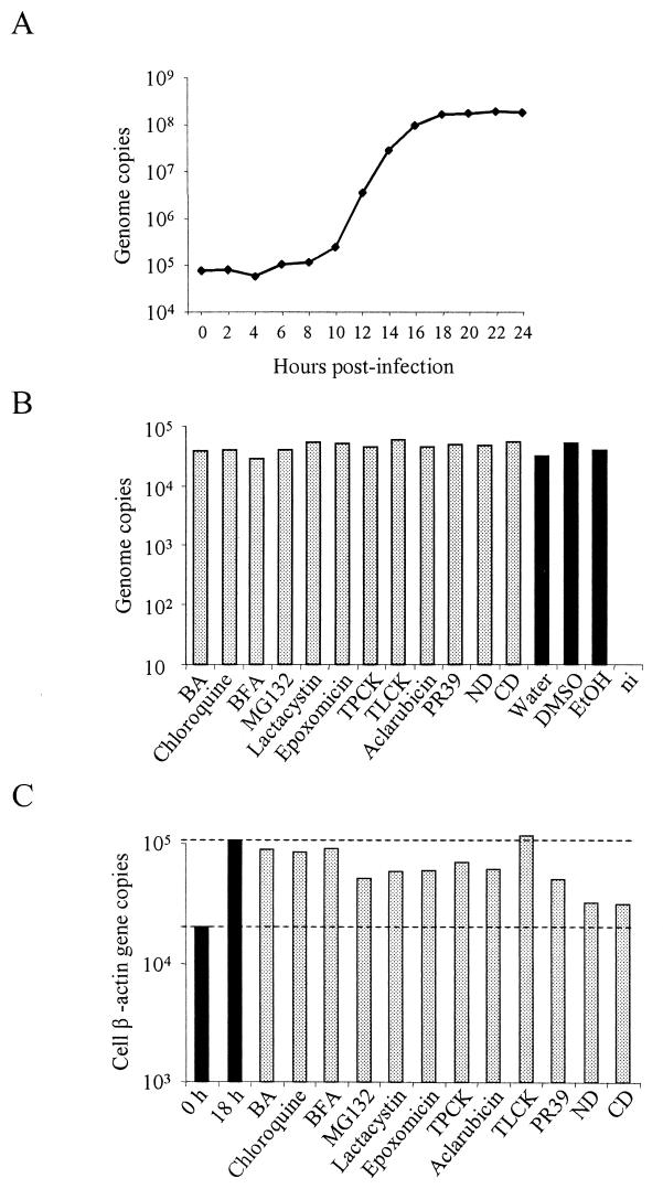 FIG.1.