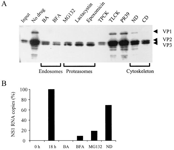 FIG. 7.