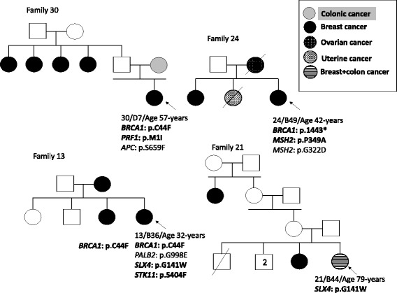 Fig. 1