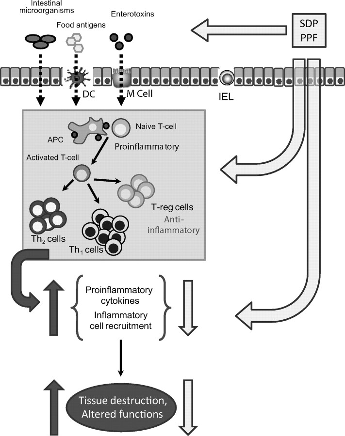 Figure 7.