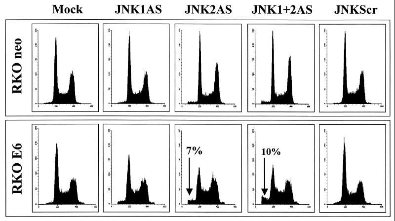 FIG. 6