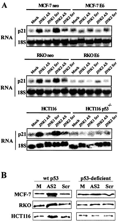 FIG. 8