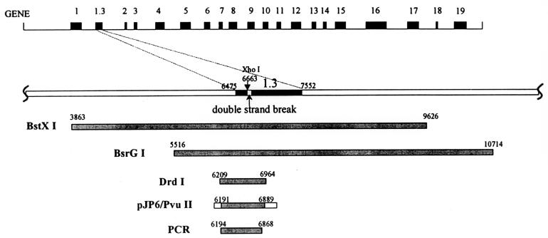 FIG. 3