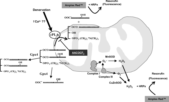 FIGURE 9.