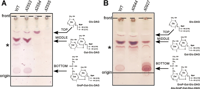 Fig. 3