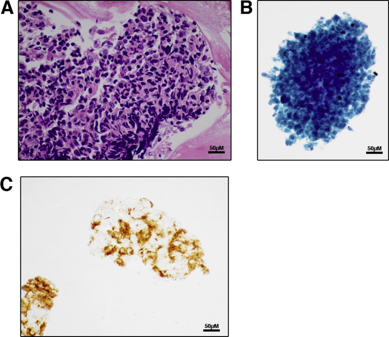 Fig. 1