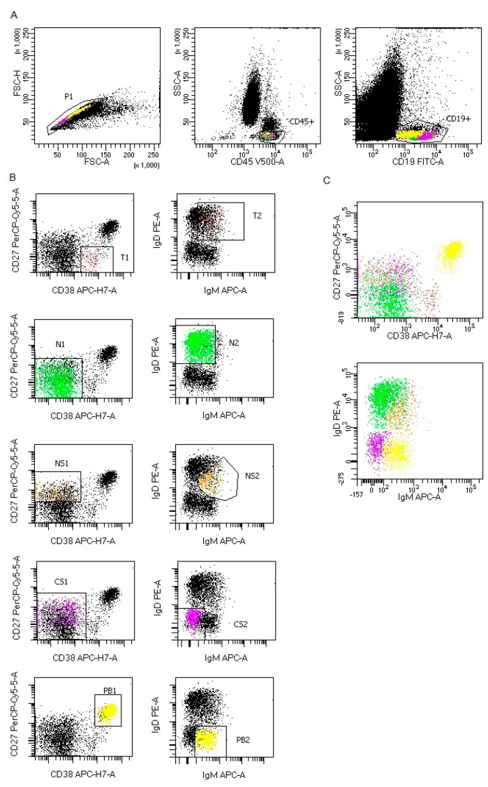 Figure 1