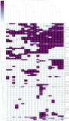 FIG 6