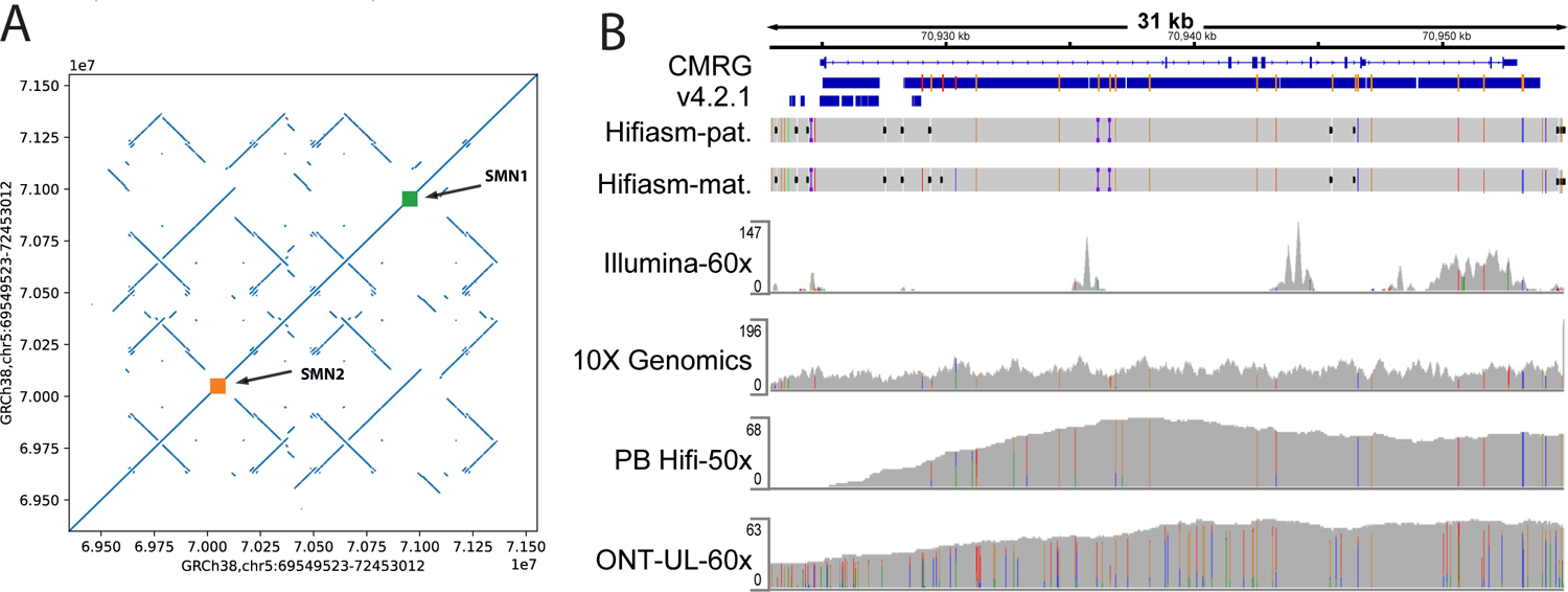 Figure 3: