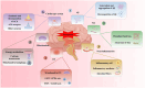 Diagram illustrating the pathways related to ferroptosis in the brain. Key elements include amyloid-beta generation, tau phosphorylation, neuroinflammation, oxidative stress, mitochondrial function, and the cholinergic system, all connecting to ferroptosis.