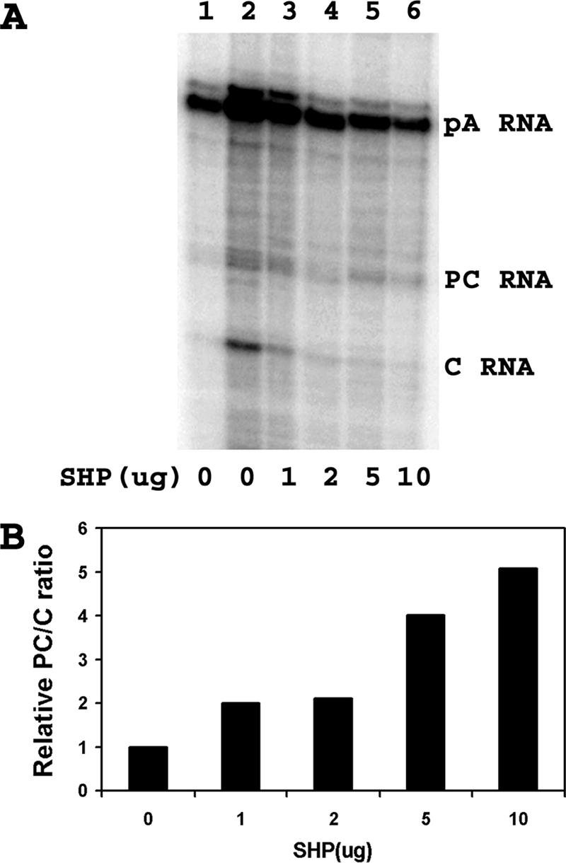 FIG. 5.