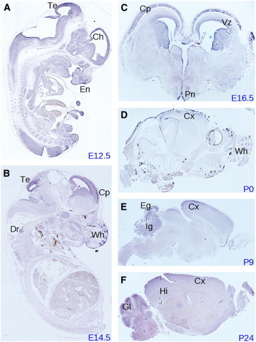 Figure 4