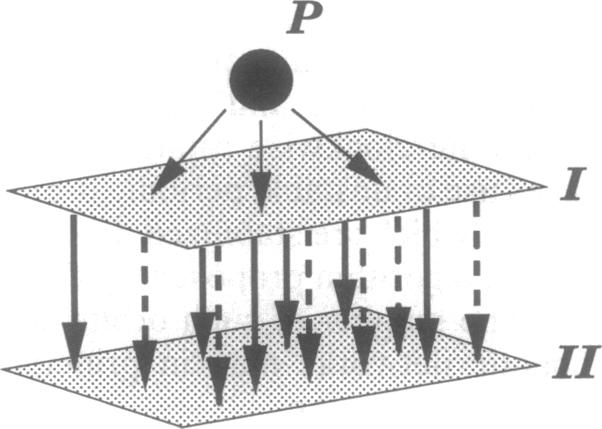 graphic file with name pnas01141-0309-a.jpg