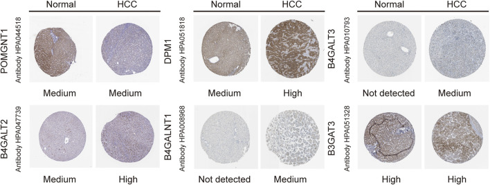 FIGURE 12