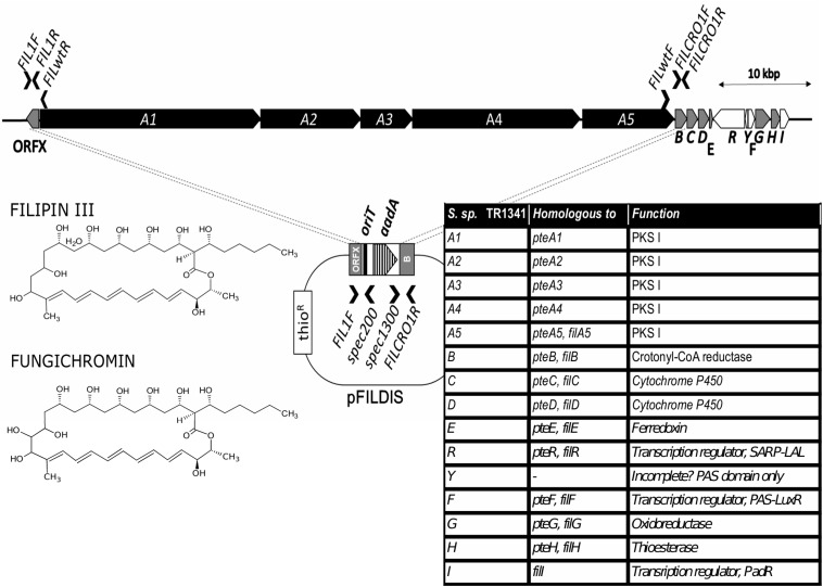 FIGURE 3