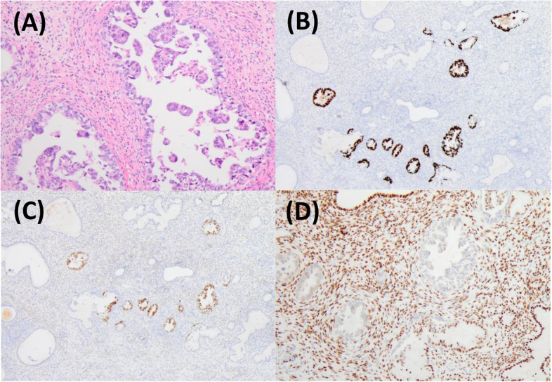Fig. 6