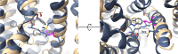 Figure 2—figure supplement 4.