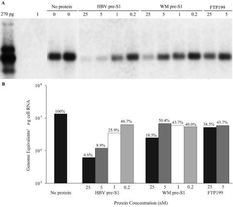 FIG. 9.